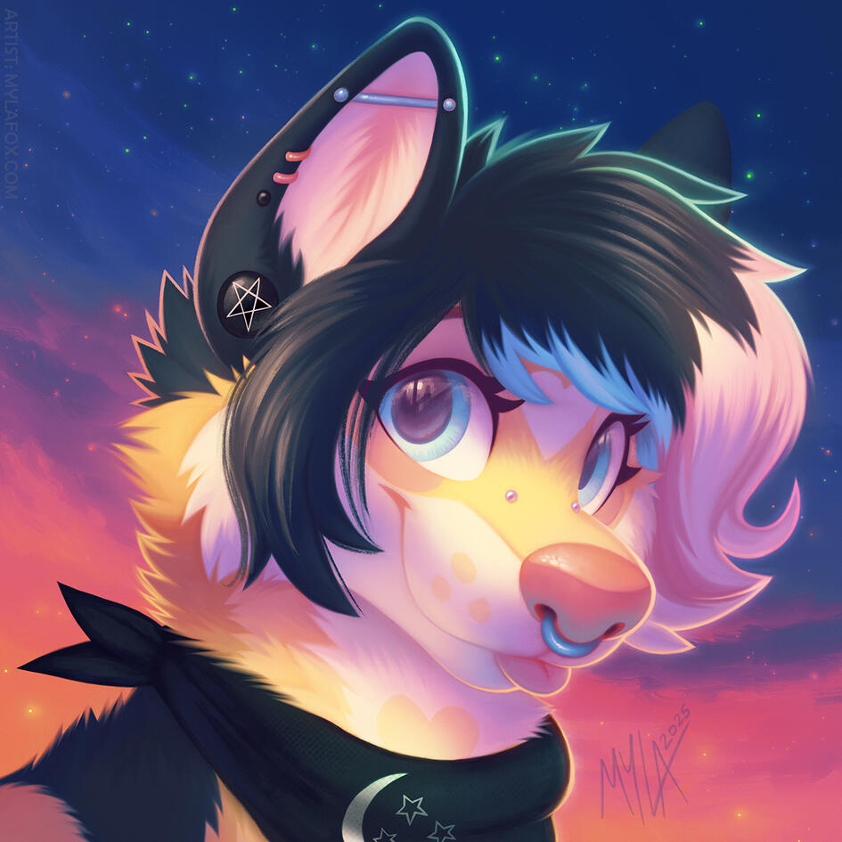 Icons starting at $95